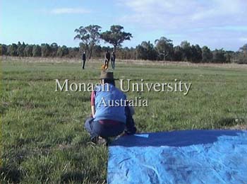 monash0401_00_350.jpg