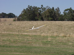 P4227763