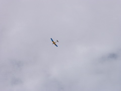 P2033458