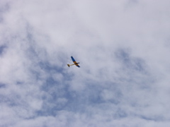 P2033459